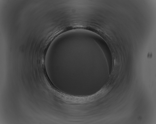 X0000091510048200708241638