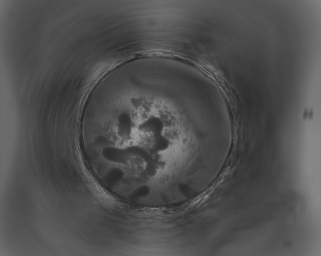 X0000091510049200708241637