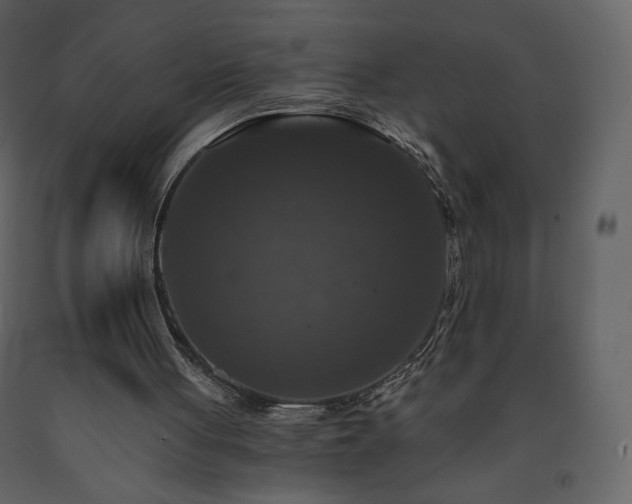 X0000091510051200708241637