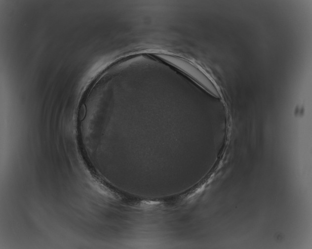 X0000091510055200708241637