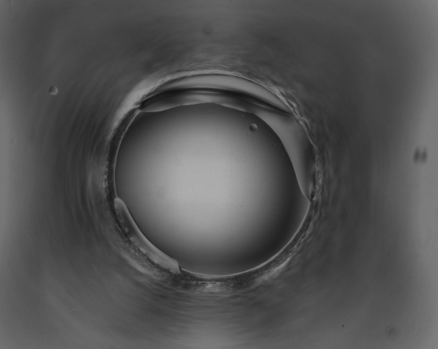 X0000091510056200708241637