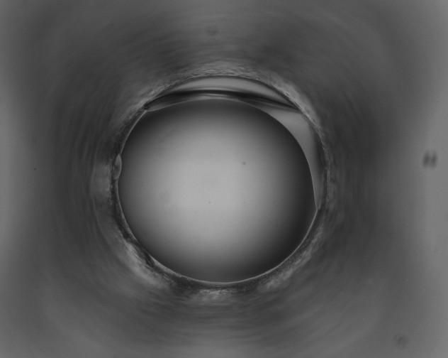 X0000091510057200708241637