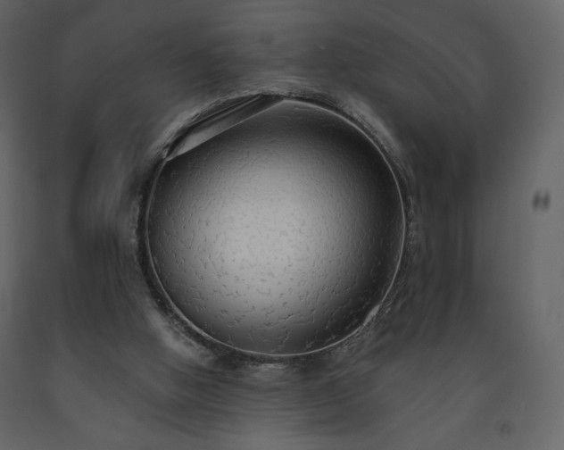 X0000091510058200708241637