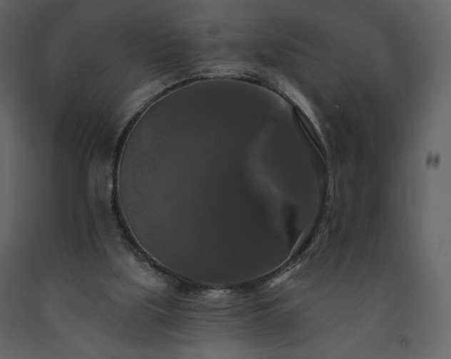 X0000091510059200708241637