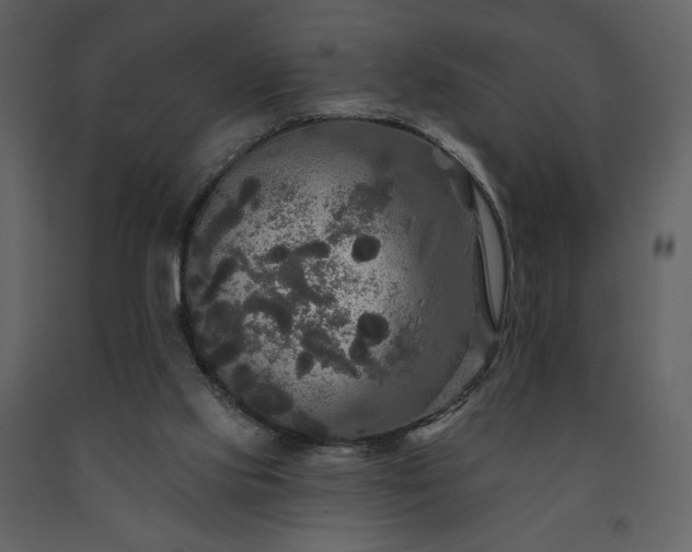 X0000091510061200708241637