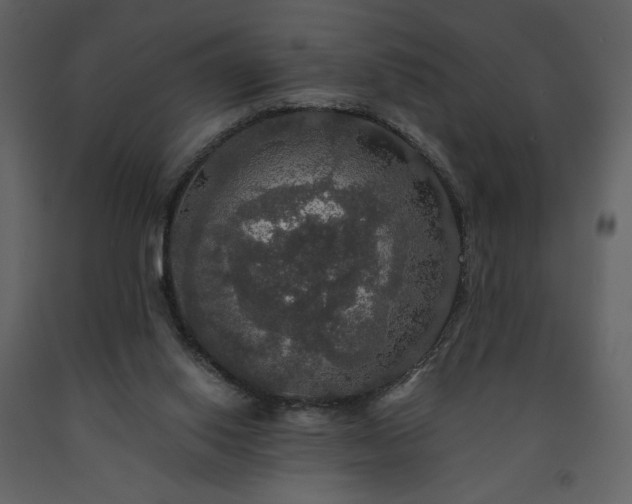 X0000091510062200708241637