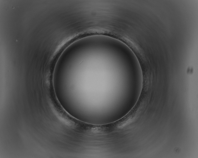 X0000091510064200708241637