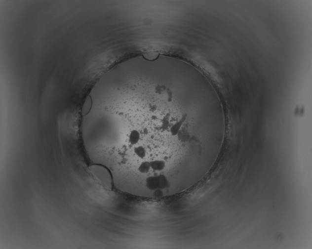 X0000091510065200708241637