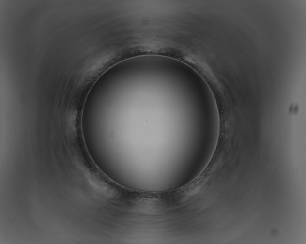 X0000091510066200708241637