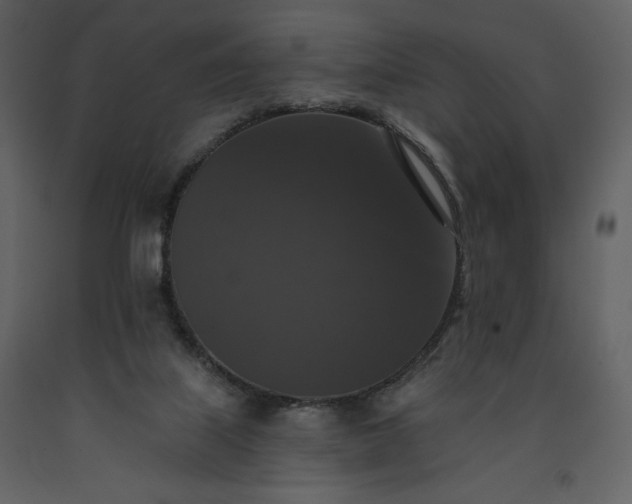 X0000091510067200708241637