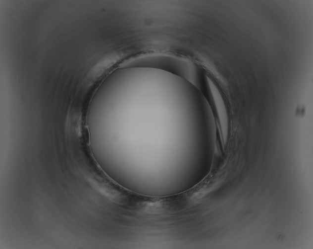 X0000091510068200708241637