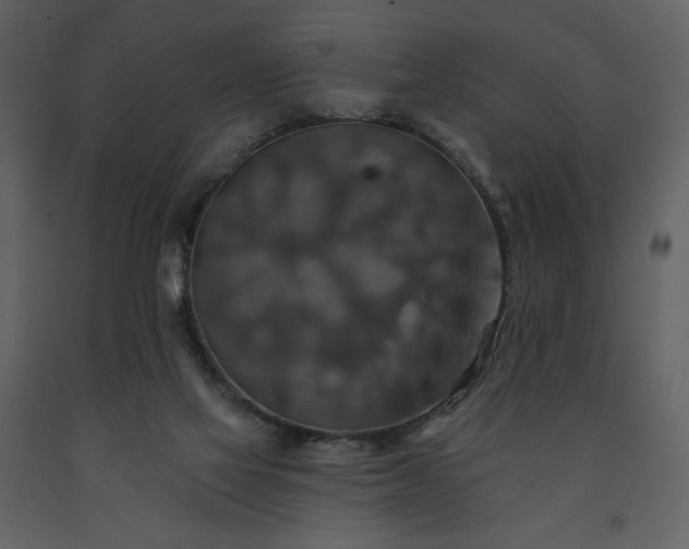 X0000091510069200708241637