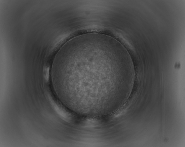 X0000091510070200708241637