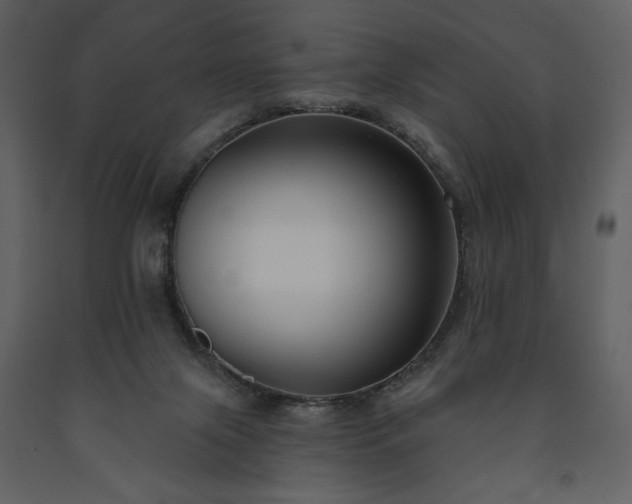 X0000091510071200708241637