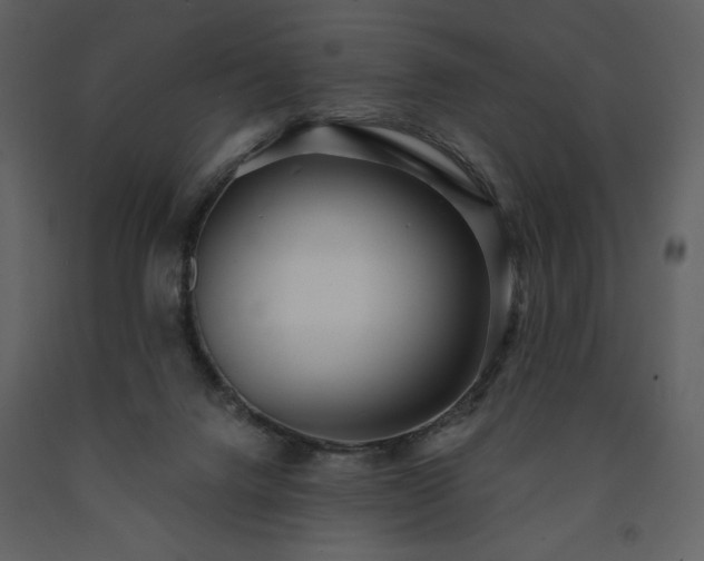 X0000091510072200708241637