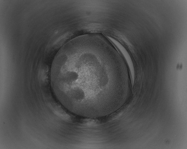 X0000091510073200708241637