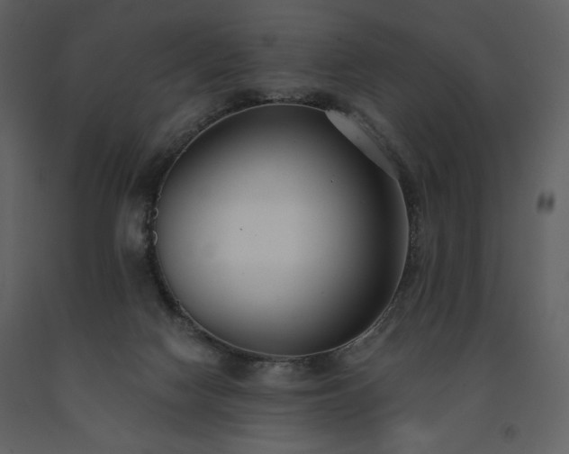 X0000091510074200708241637