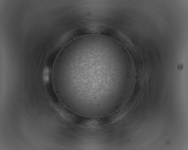 X0000091510075200708241637