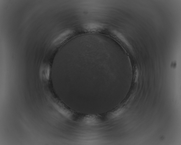 X0000091510076200708241637