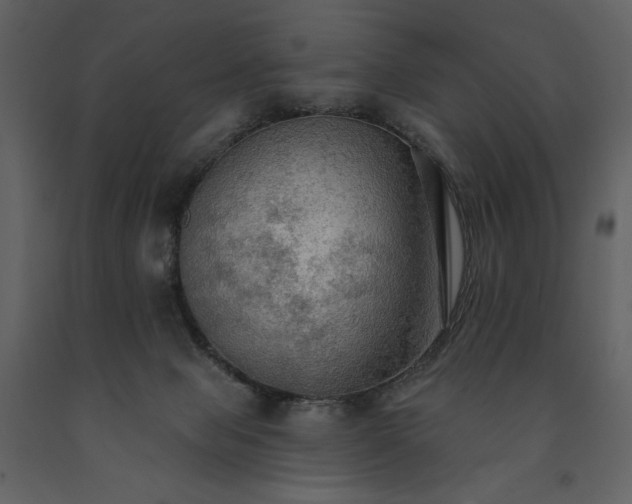 X0000091510077200708241638