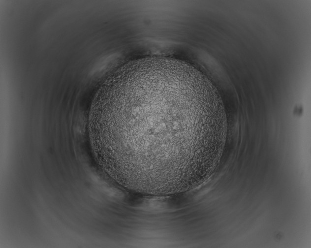 X0000091510078200708241638