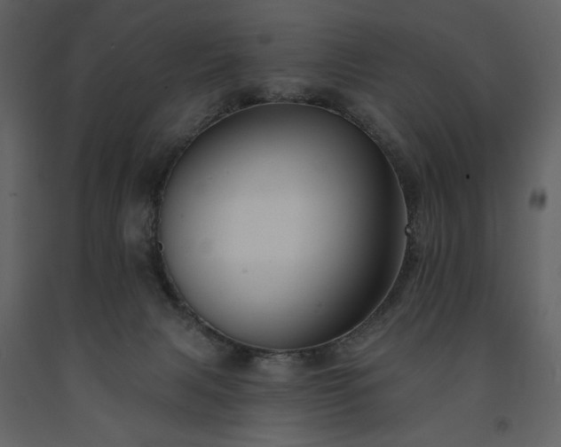 X0000091510079200708241638