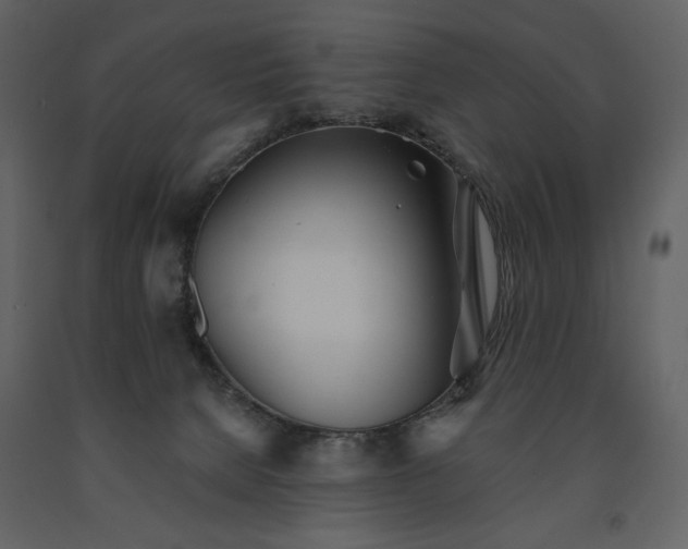 X0000091510080200708241638