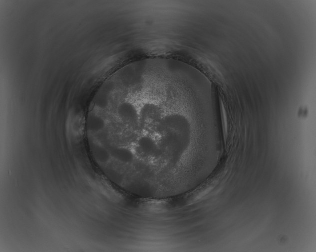 X0000091510081200708241638