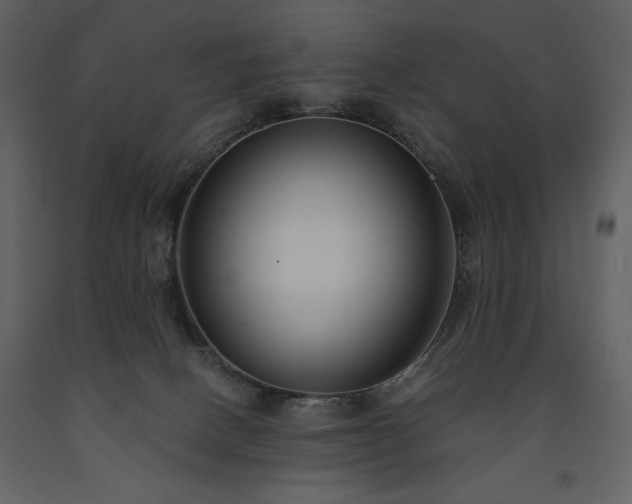 X0000091510082200708241638