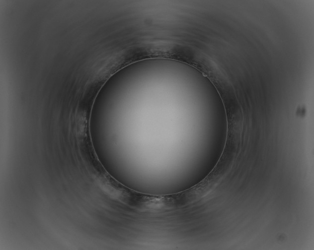 X0000091510083200708241638