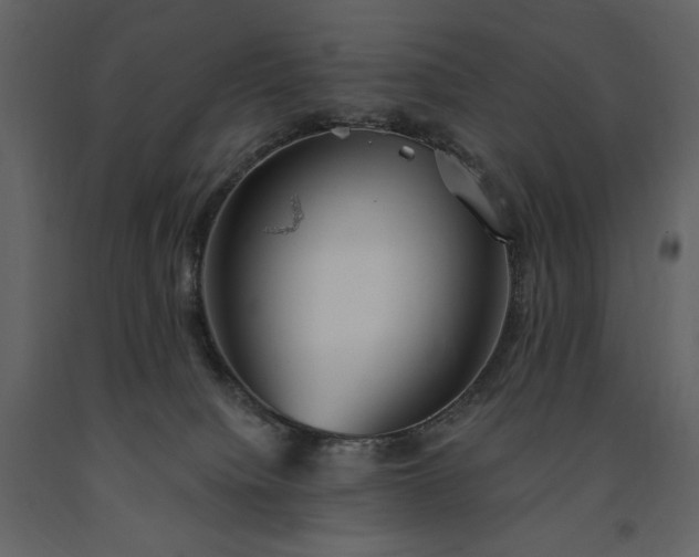 X0000091510084200708241638