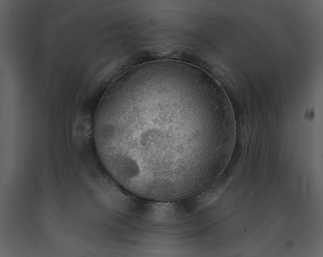 X0000091510085200708241638