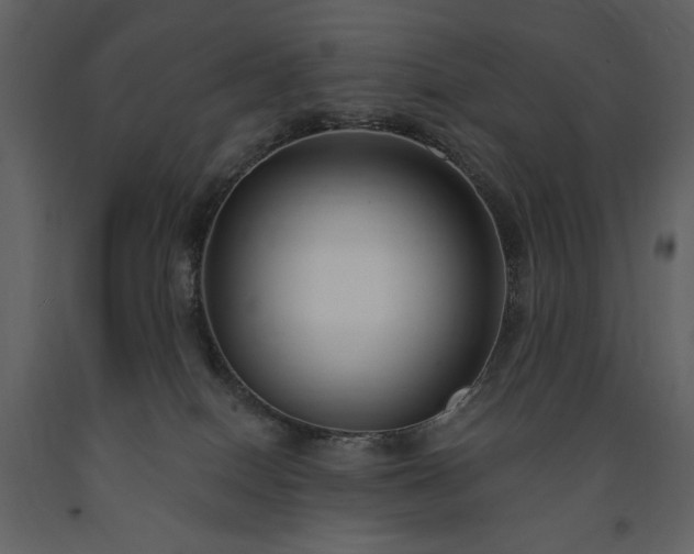 X0000091510086200708241638