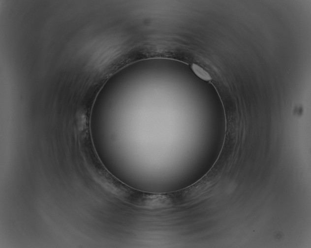 X0000091510087200708241638