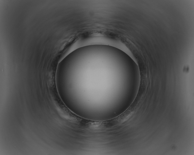 X0000091510088200708241638