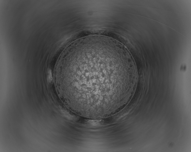 X0000091510089200708241638