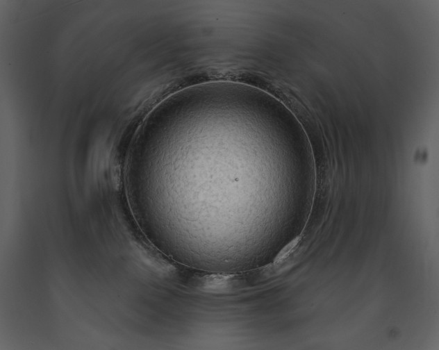 X0000091510090200708241638