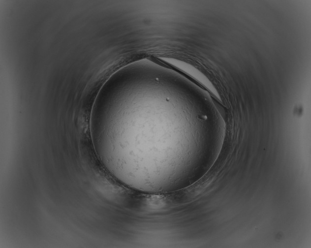 X0000091510091200708241638