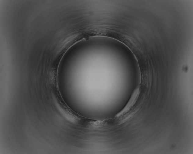 X0000091510092200708241638