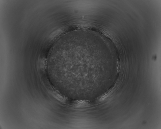 X0000091510093200708241638