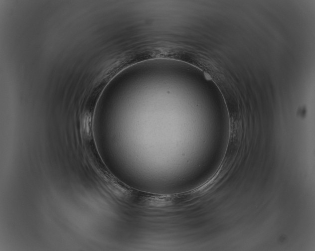 X0000091510094200708241638