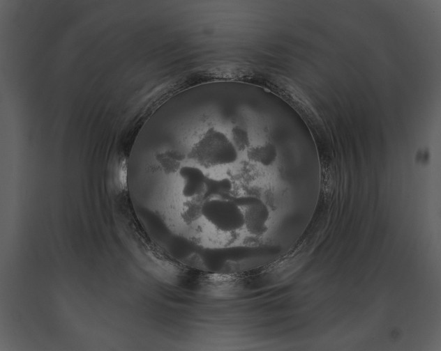 X0000091510095200708241638