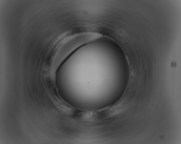 X0000091510096200708241638