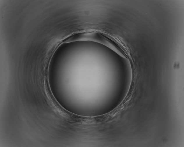 X0000091510097200708241637