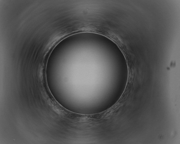 X0000091510098200708241637