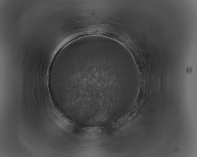 X0000091510100200708241637