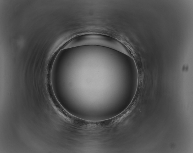 X0000091510101200708241637