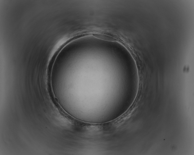 X0000091510102200708241637