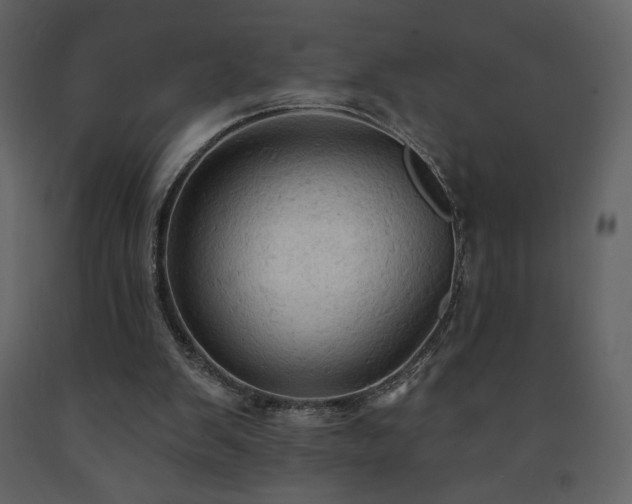 X0000091510103200708241637