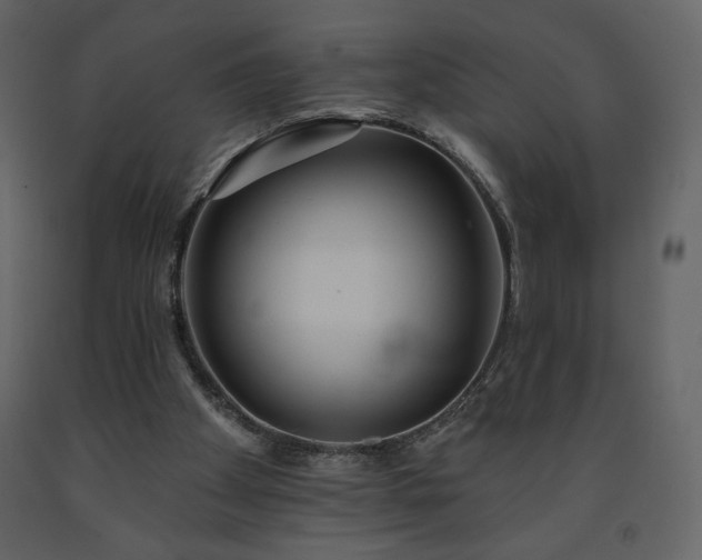 X0000091510105200708241637